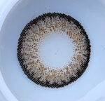 Classic Warm Brown Cosmetic Lenses