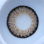 Classic Warm Brown Cosmetic Lenses