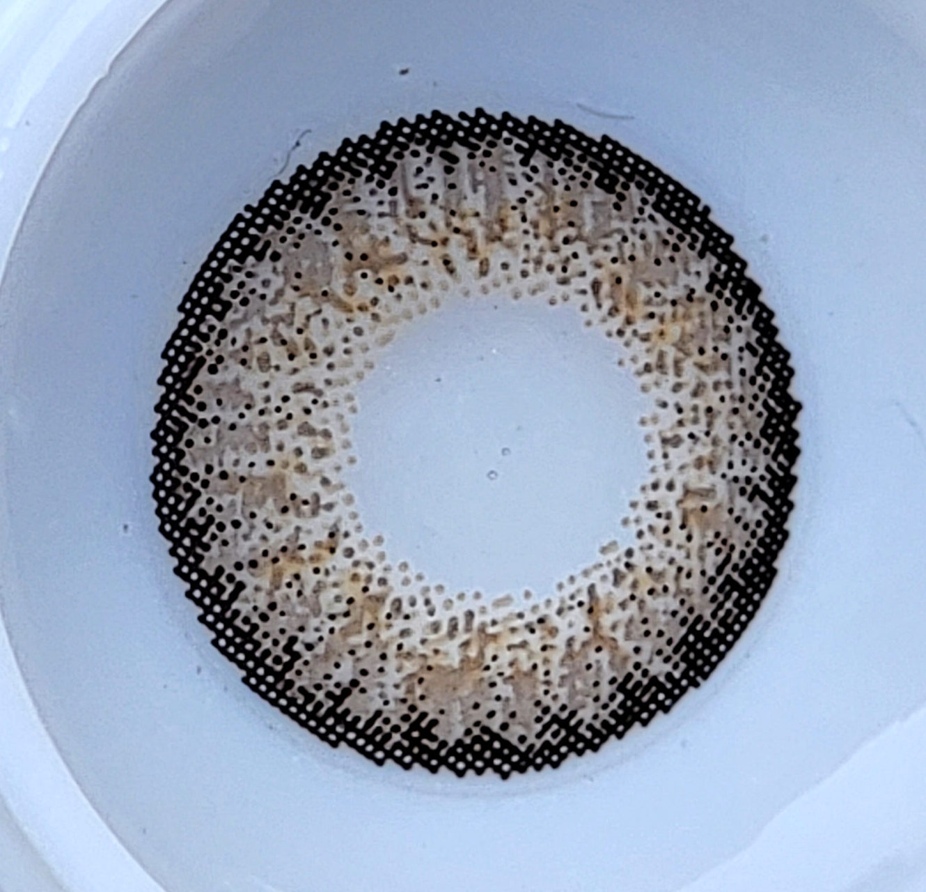 brown Classic Warm Brown Cosmetic Lenses - Image 1